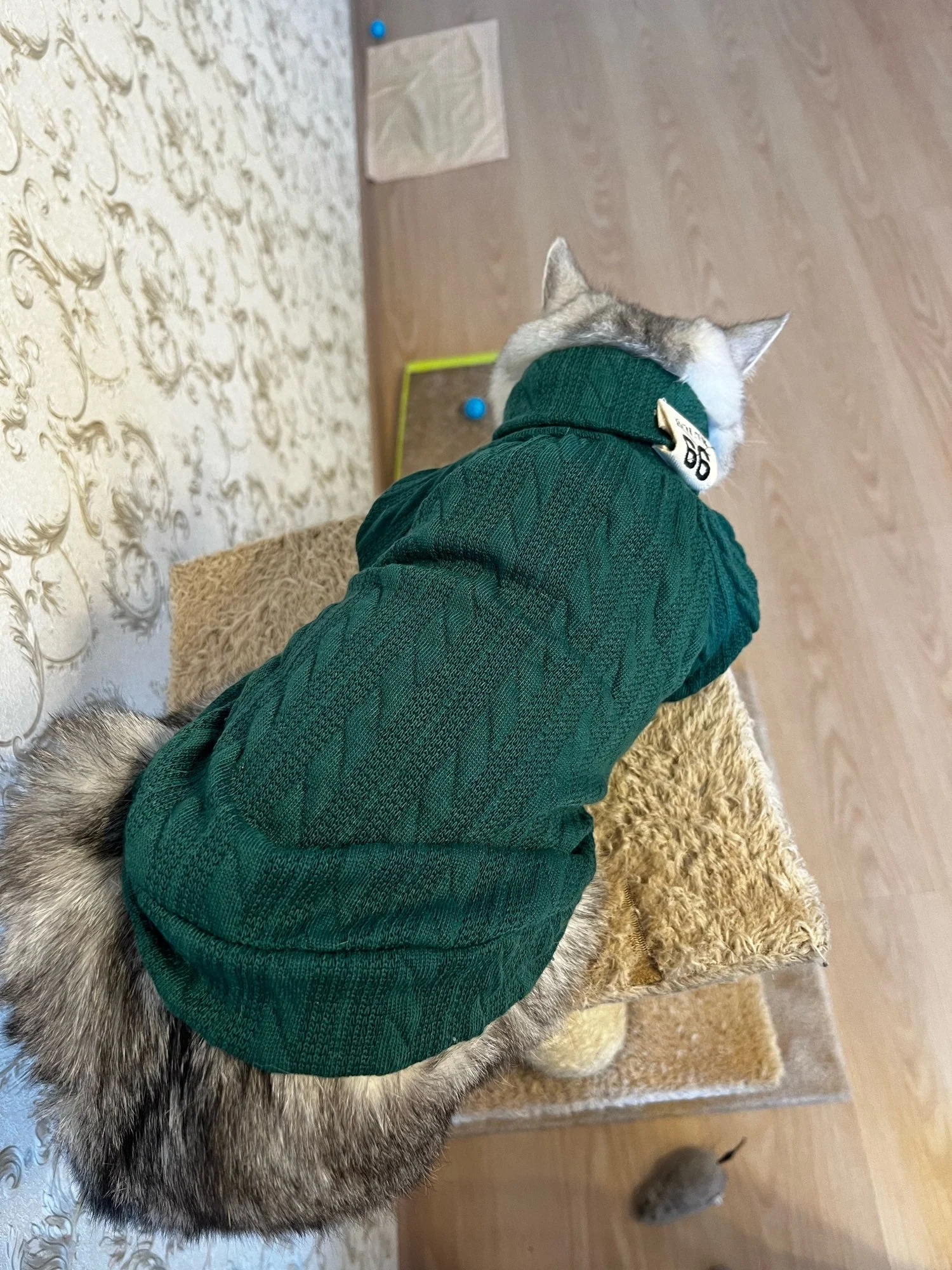 Winter Warm Knitted Turtleneck Sweater for Small Dogs or Cats - Image 14