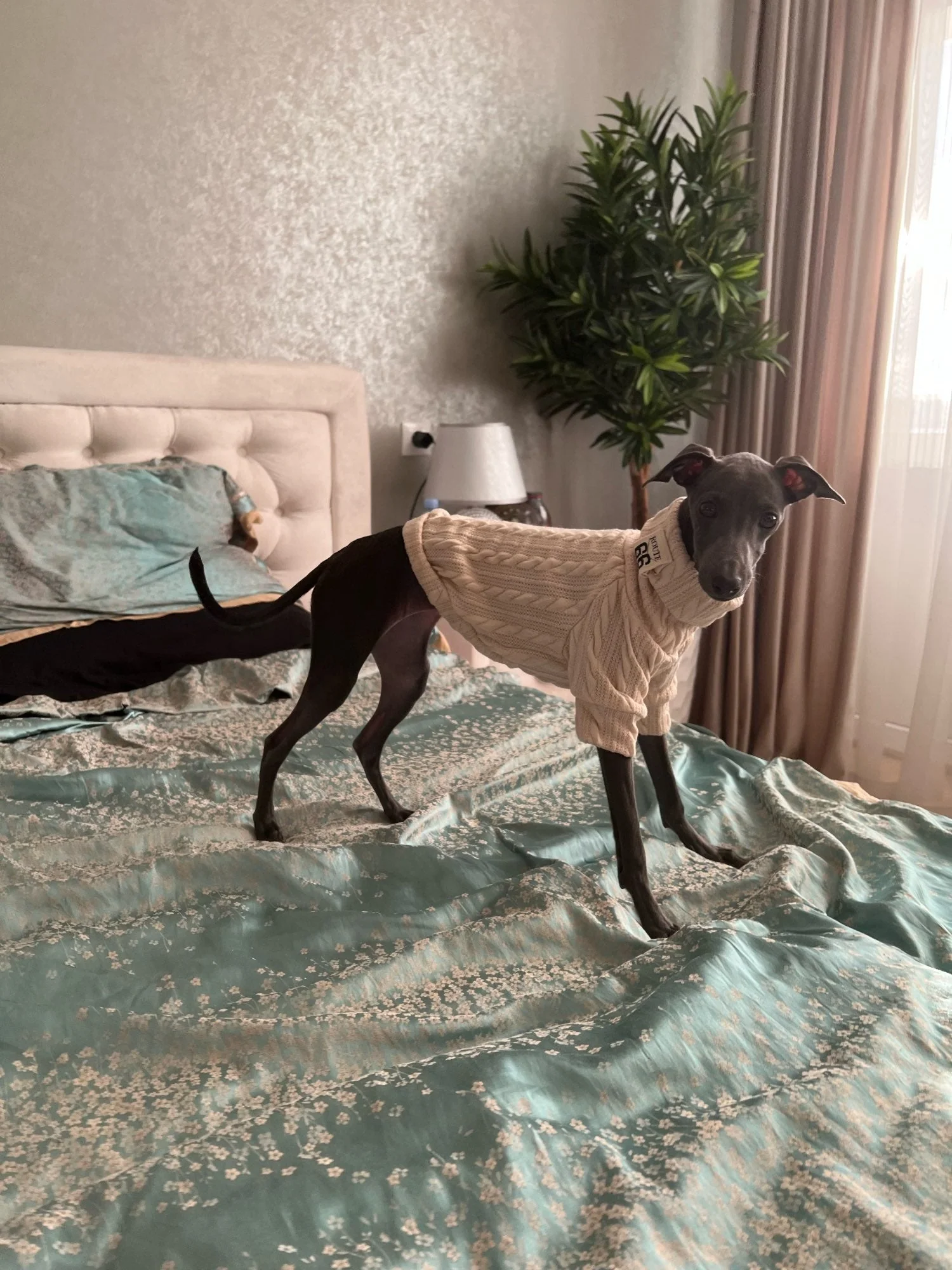 Winter Warm Knitted Turtleneck Sweater for Small Dogs or Cats - Image 15