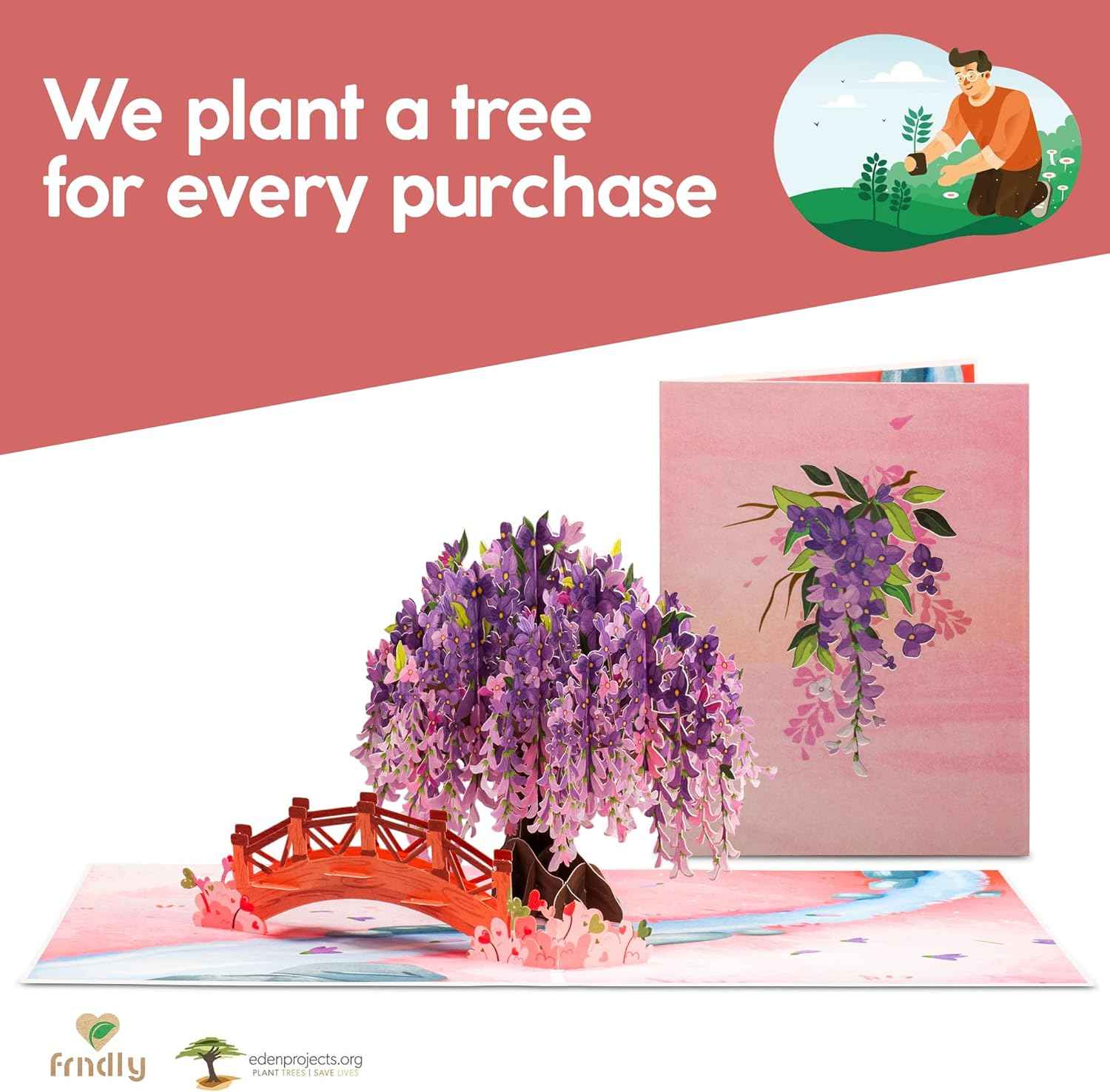 Wisteria Pop Up Card - Frndly - Image 5