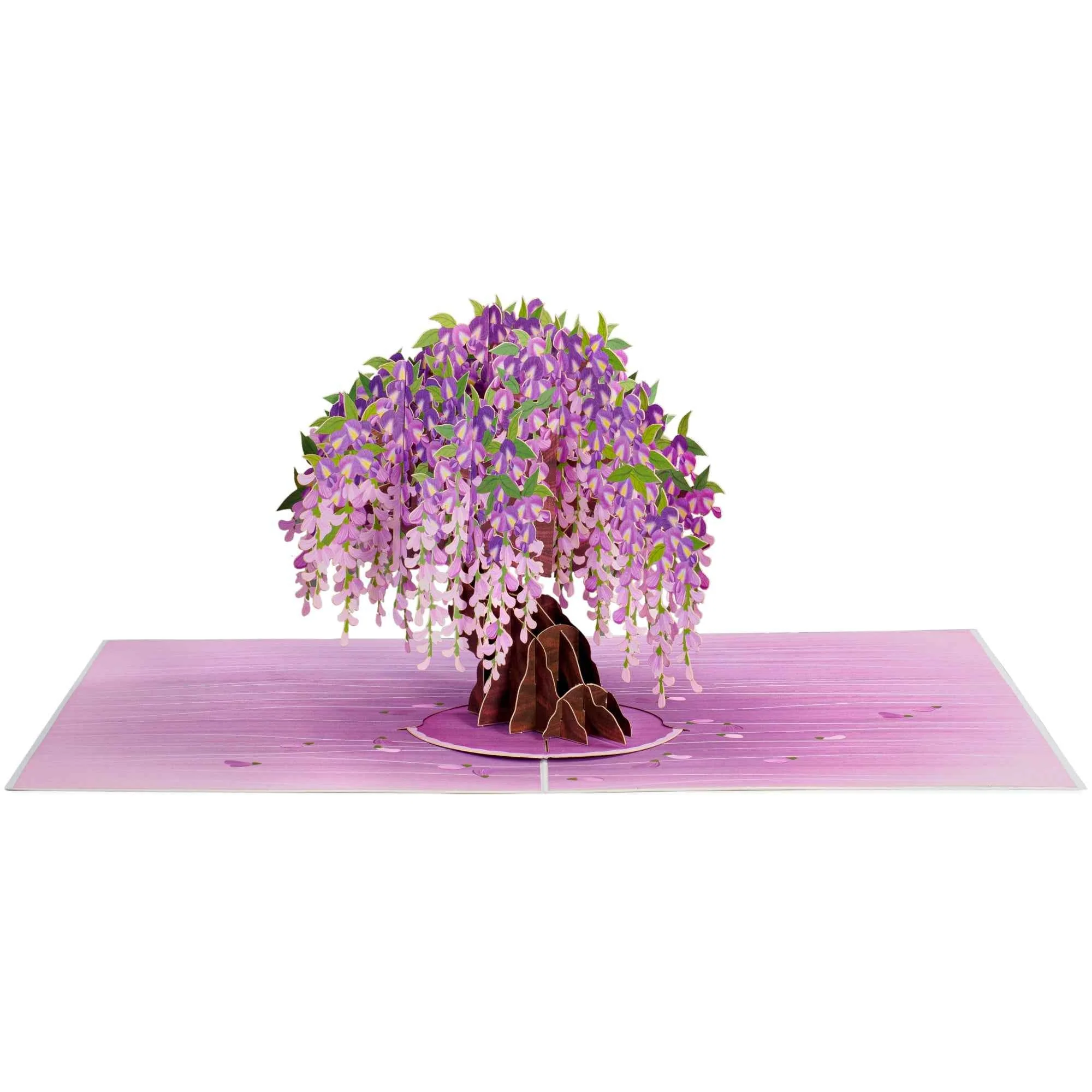 Wisteria Tree Oversized Pop Up Card with Keepsake - Image 9