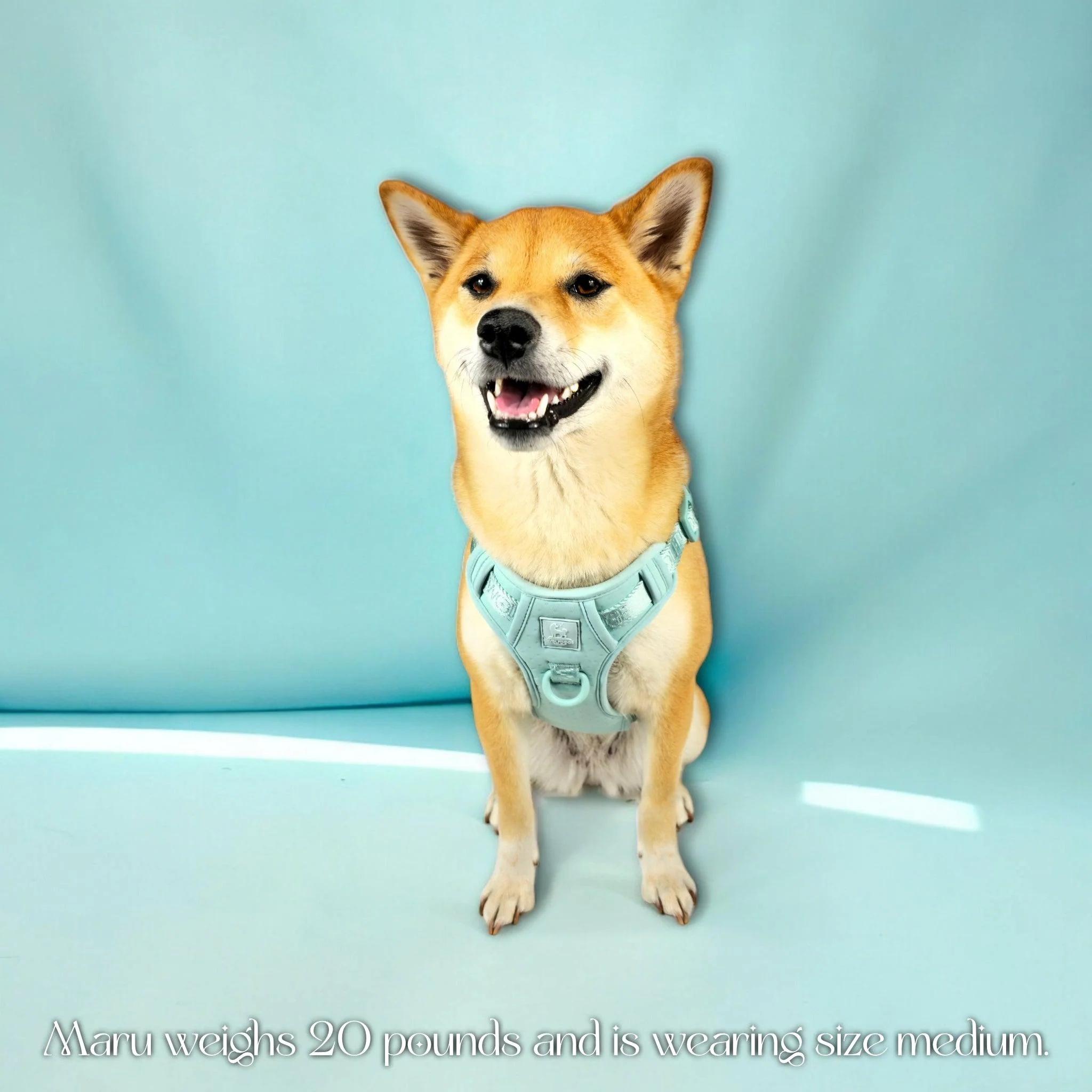 Wolfdoge Signature Harness - Image 7