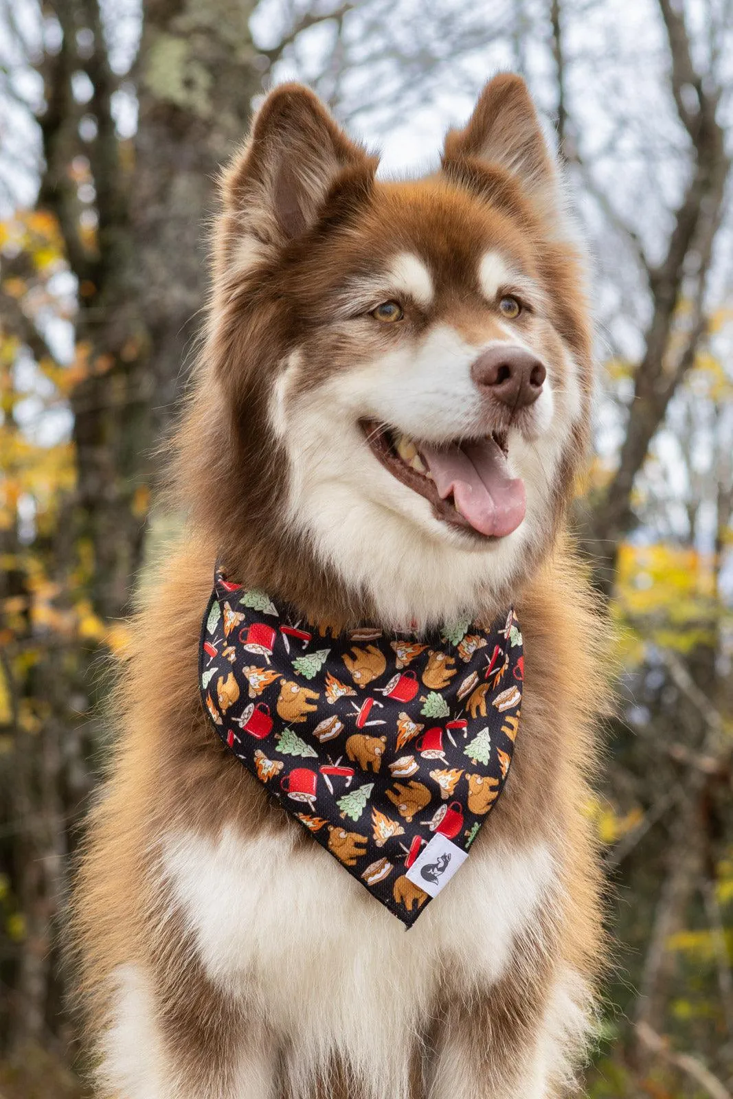Woodland Tales Dog Bandana - Image 2