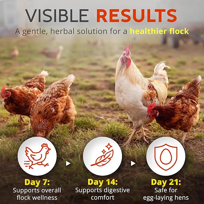 WormStop – Natural Dewormer for Chickens - Image 5