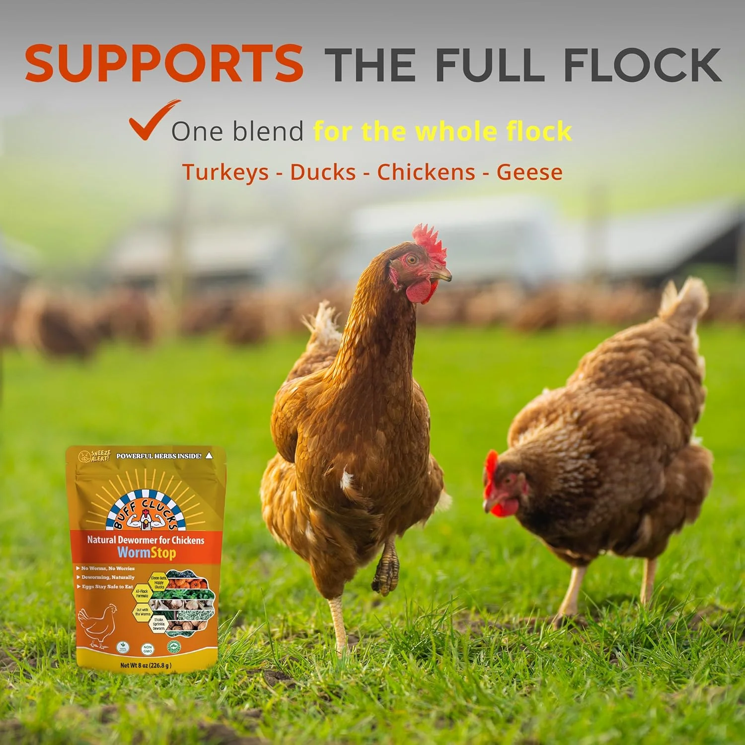 WormStop – Natural Dewormer for Chickens - Image 7