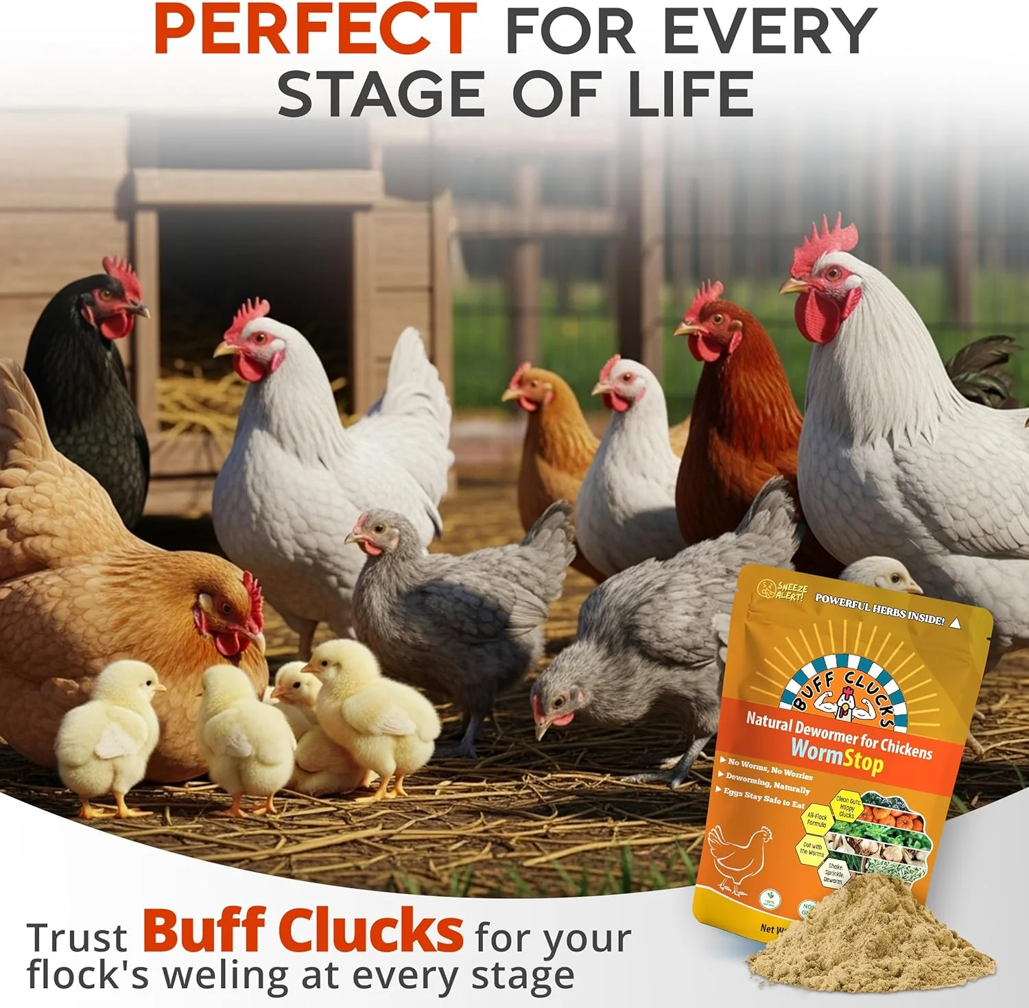 WormStop – Natural Dewormer for Chickens - Image 8