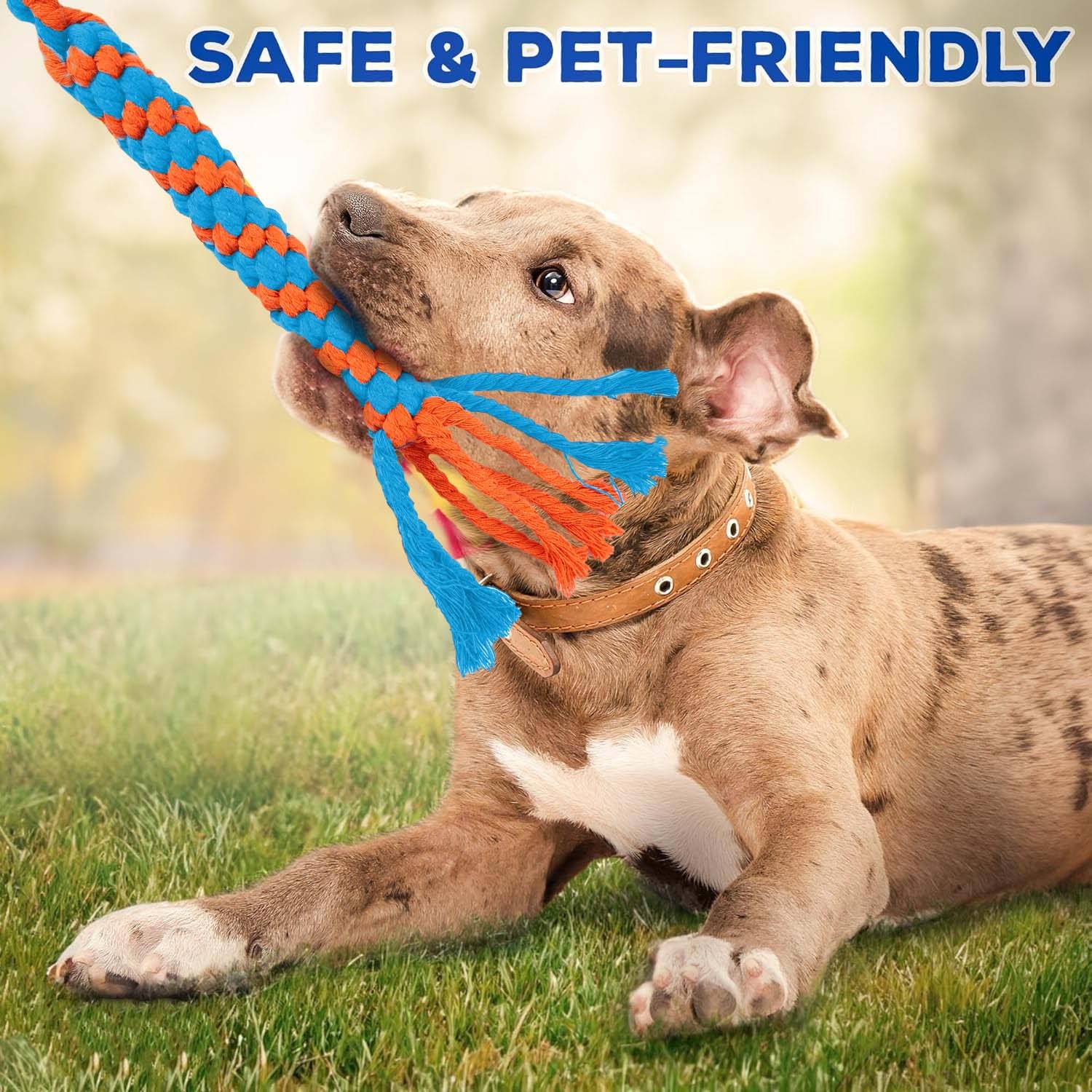 Wow Play - Dog Flirt Pole with American Football & Rope Tail Toys - Image 4
