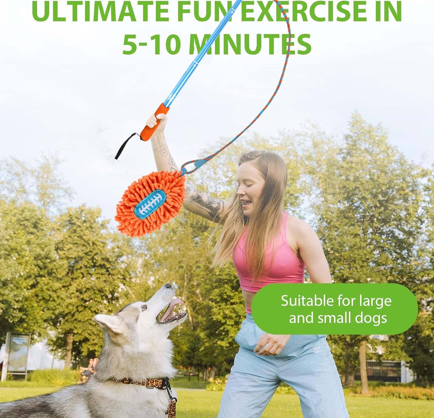 Wow Play - Dog Flirt Pole with American Football & Rope Tail Toys - Image 5