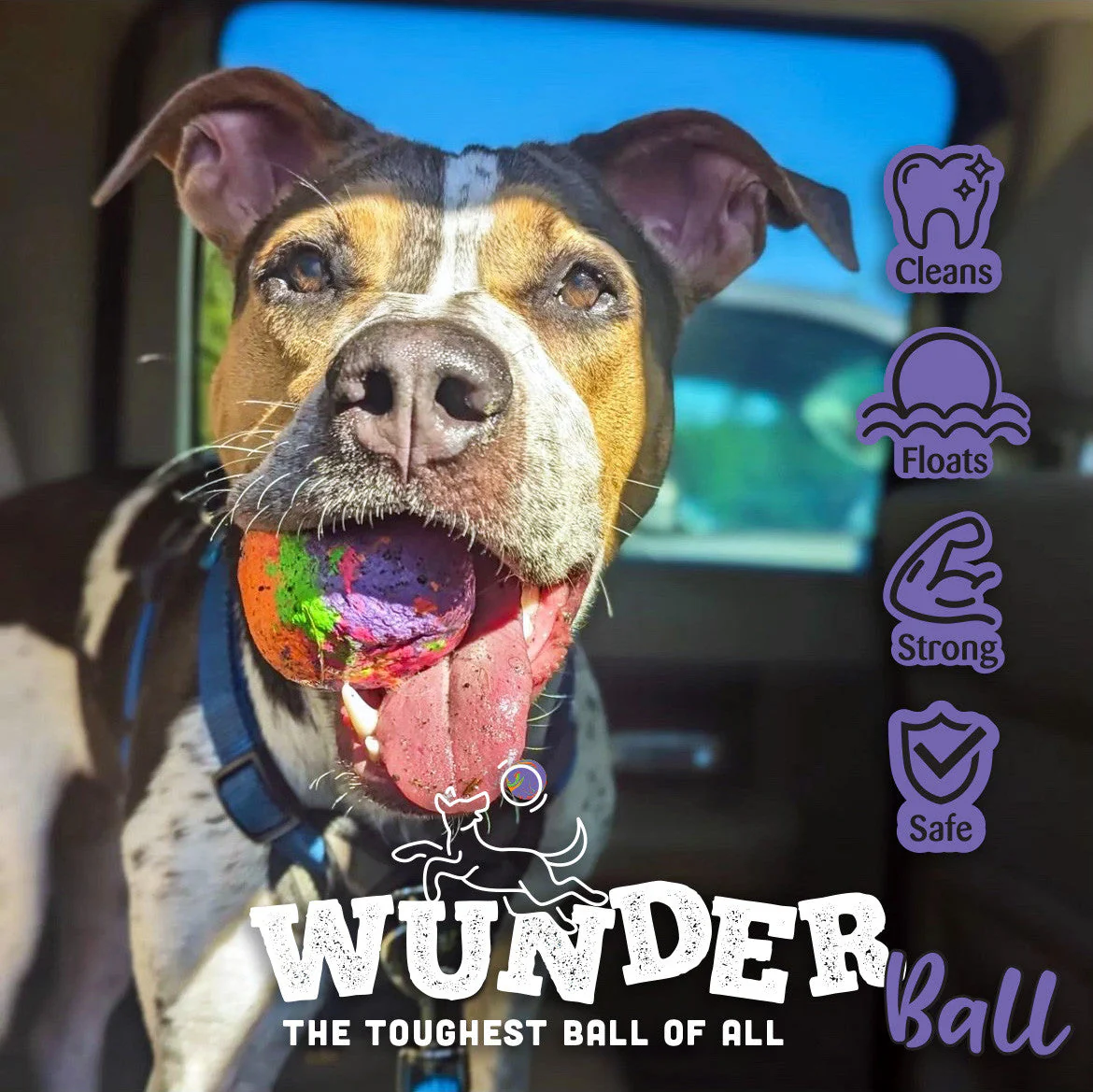 WUNDERball - Best Fetch Toy - Image 10