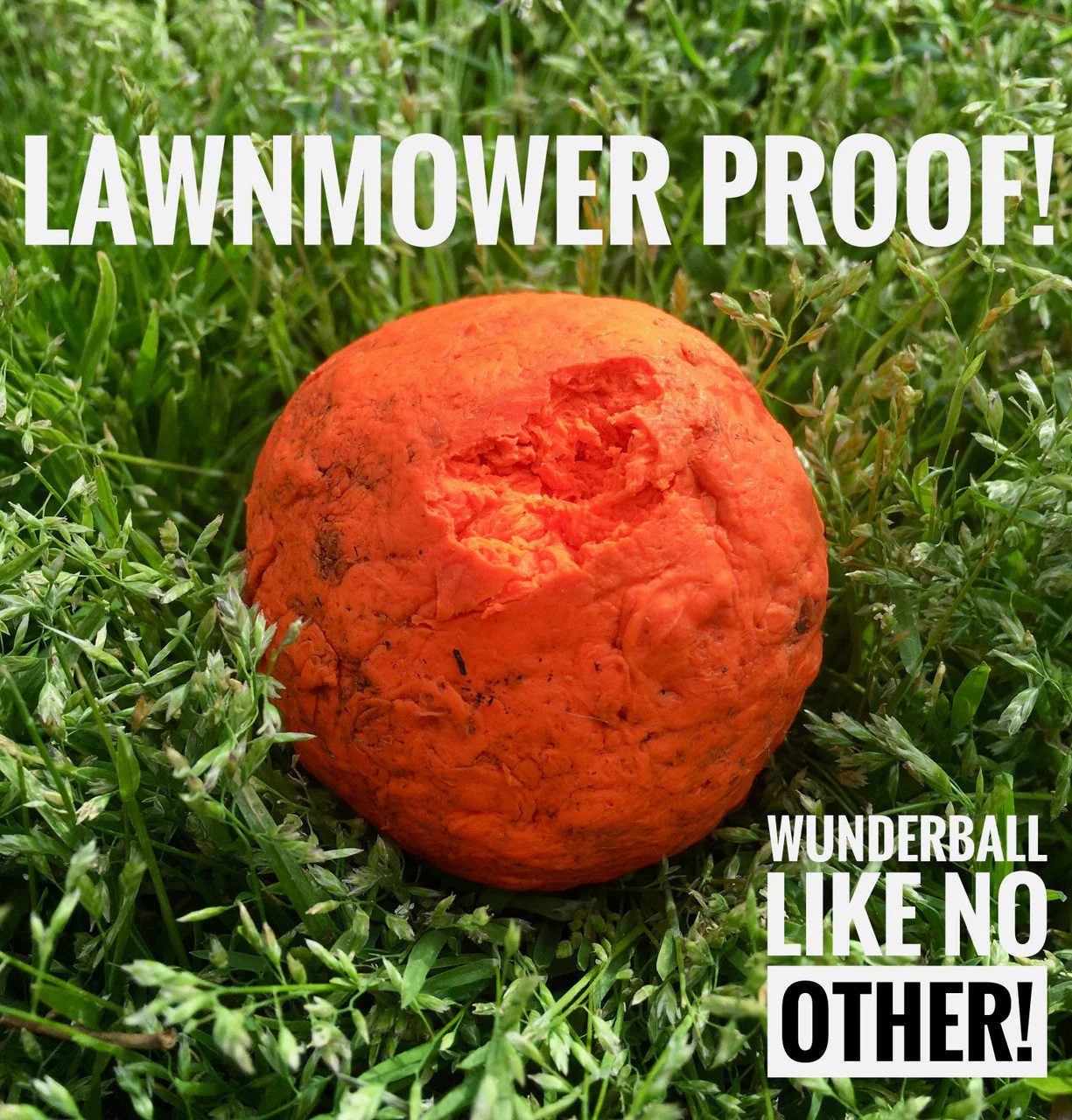 WUNDERball - Best Fetch Toy - Image 5