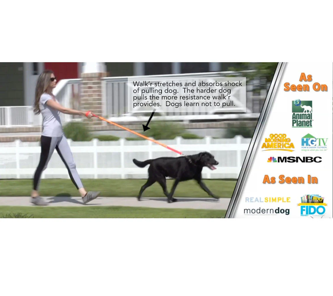 WUNDERleash – The Original No-Pull Dog Leash - Image 5