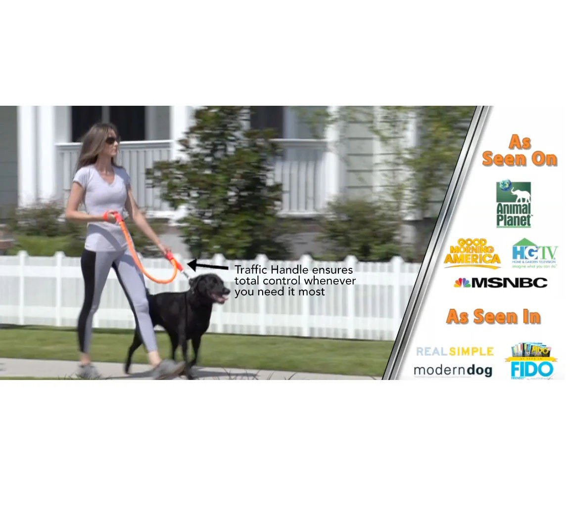 WUNDERleash – The Original No-Pull Dog Leash - Image 7