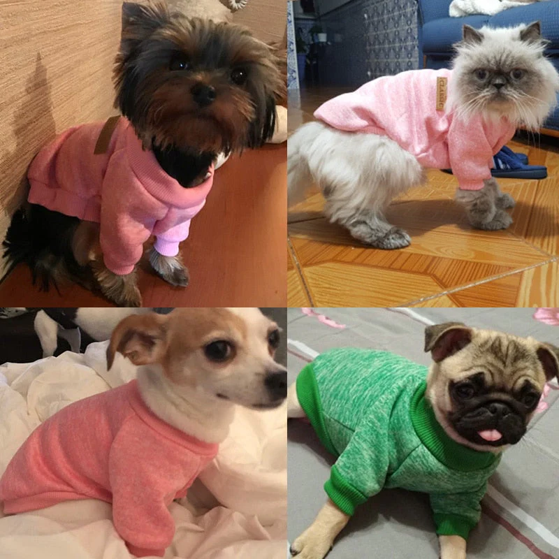 XS-2XL Winter Warm Pet Sweater - Image 4