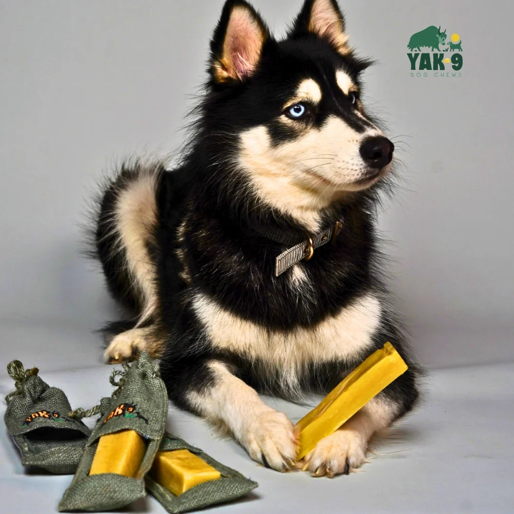 Yak and Cow Cheese Chews for Dogs - Image 4