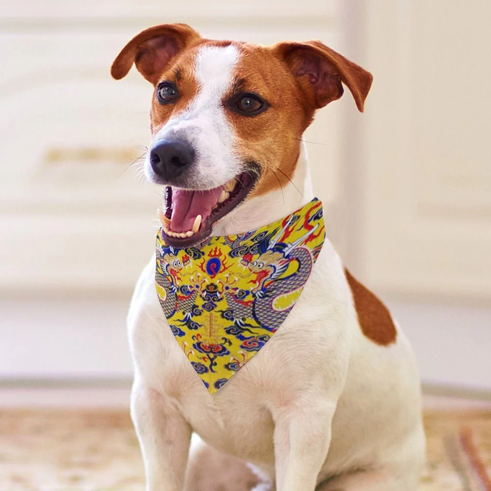 Yellow Imperial Dragon Pet Scarf - Image 4