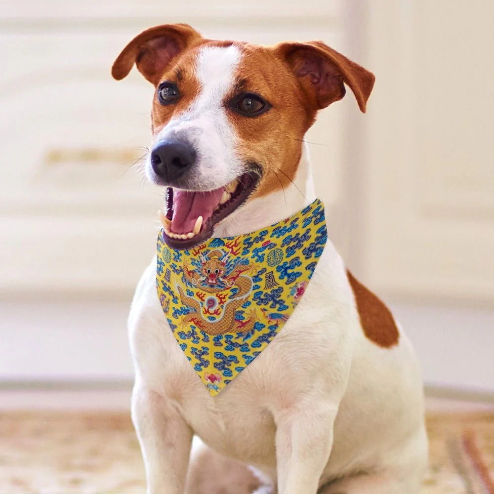 Yellow Qing Dynasty Dragon Pet Scarf - Image 4