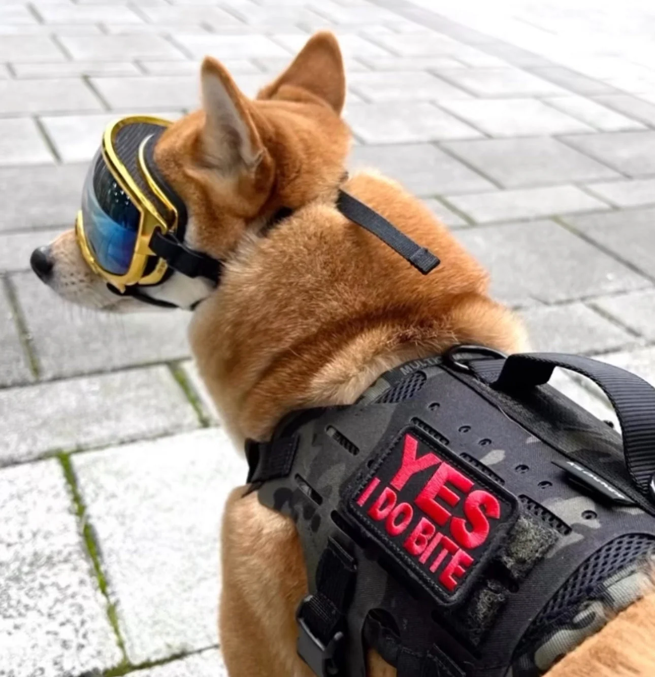 YES I DO BITE Morale Patch - Image 2