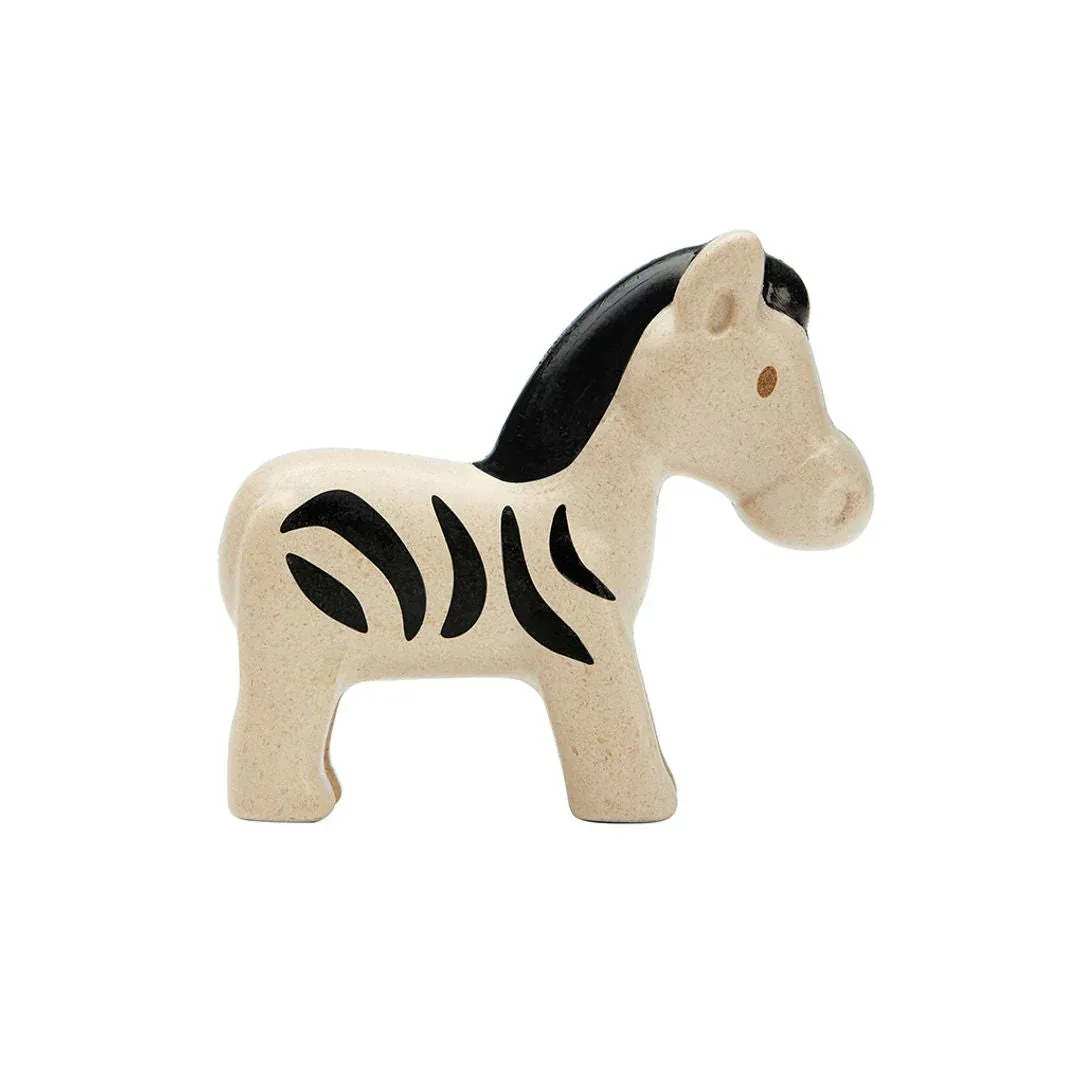 Zebra - Image 2