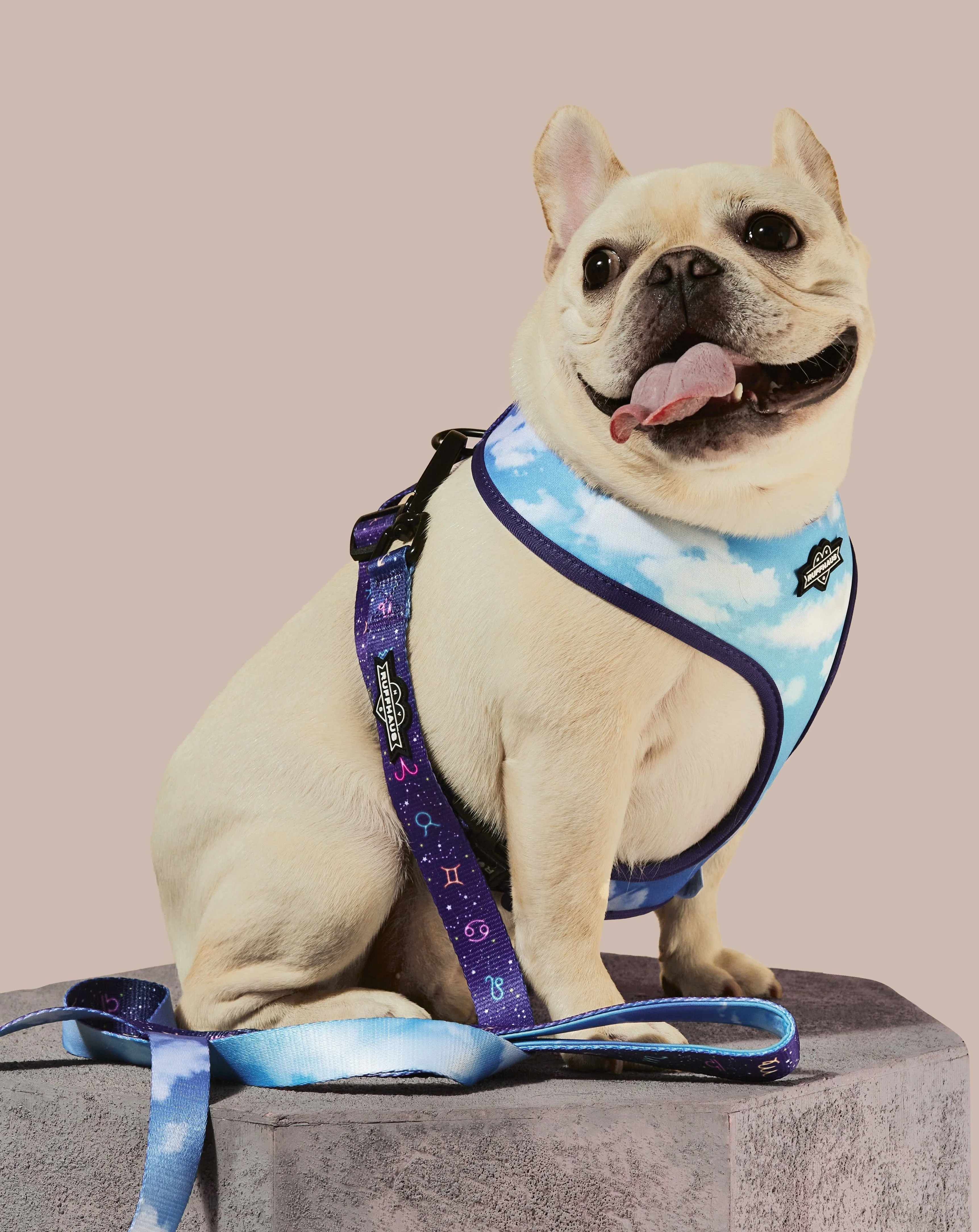 Zodiac Drip Dog Leash - Image 2