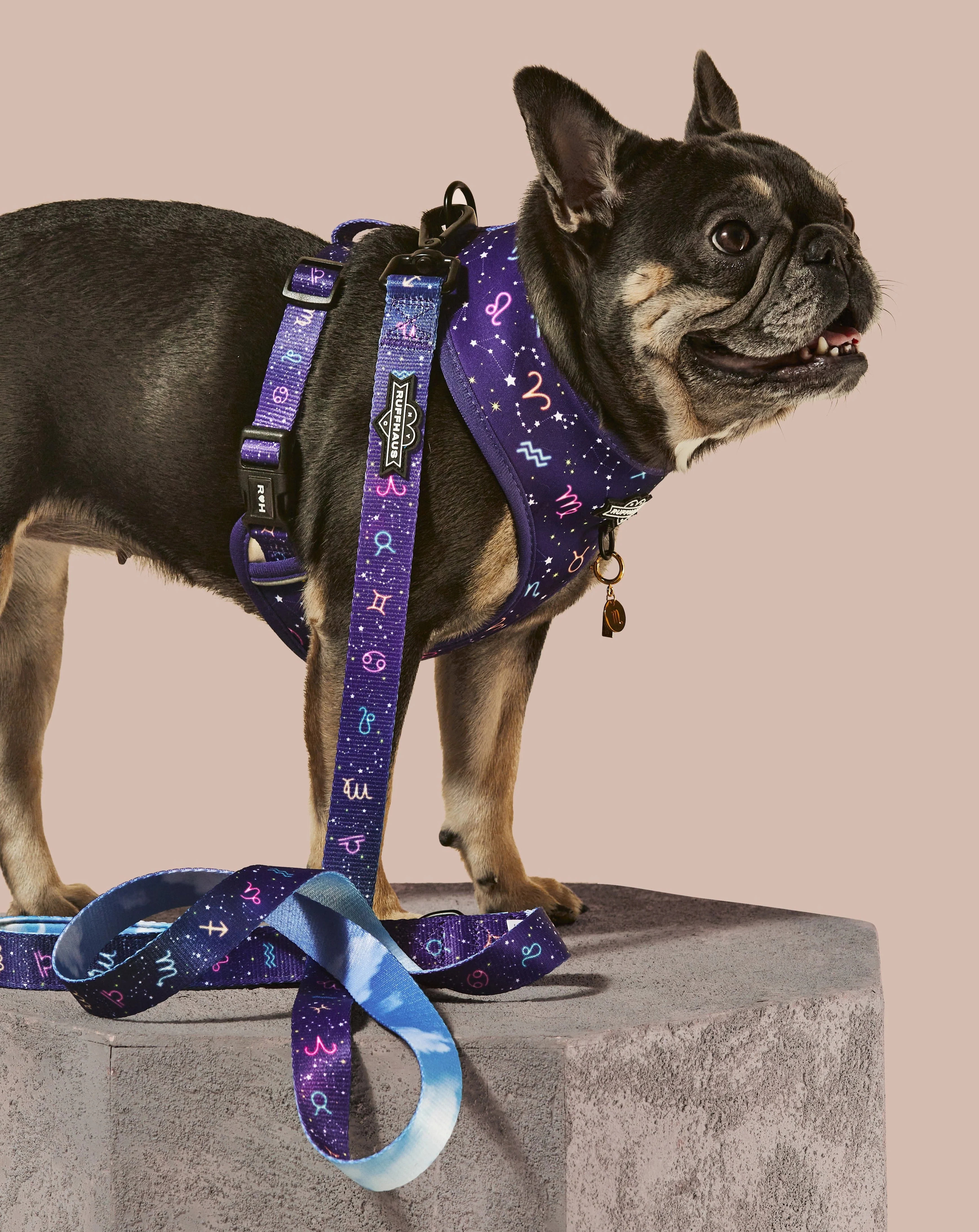 Zodiac Drip Reversible Harness - Image 3