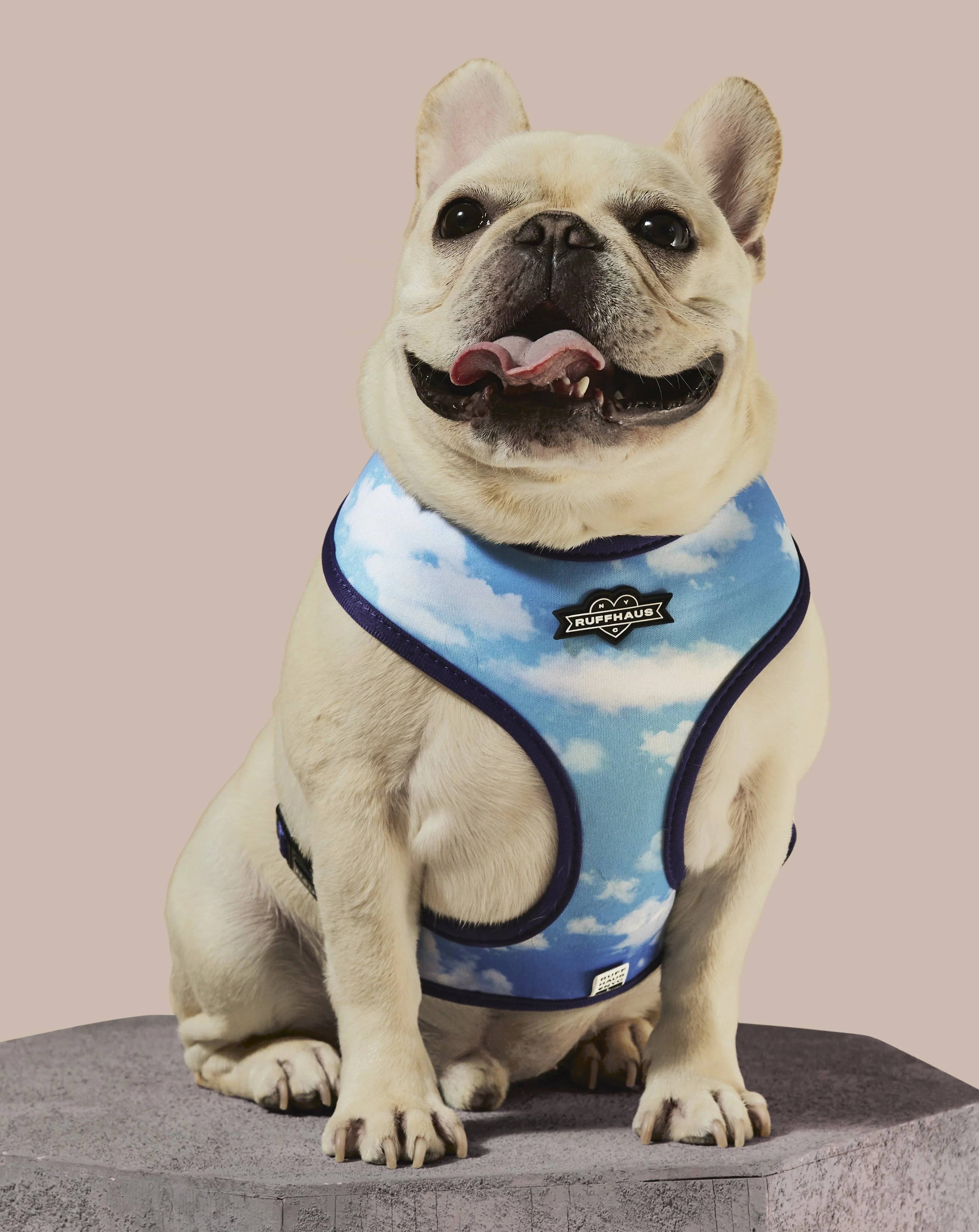 Zodiac Drip Reversible Harness - Image 4