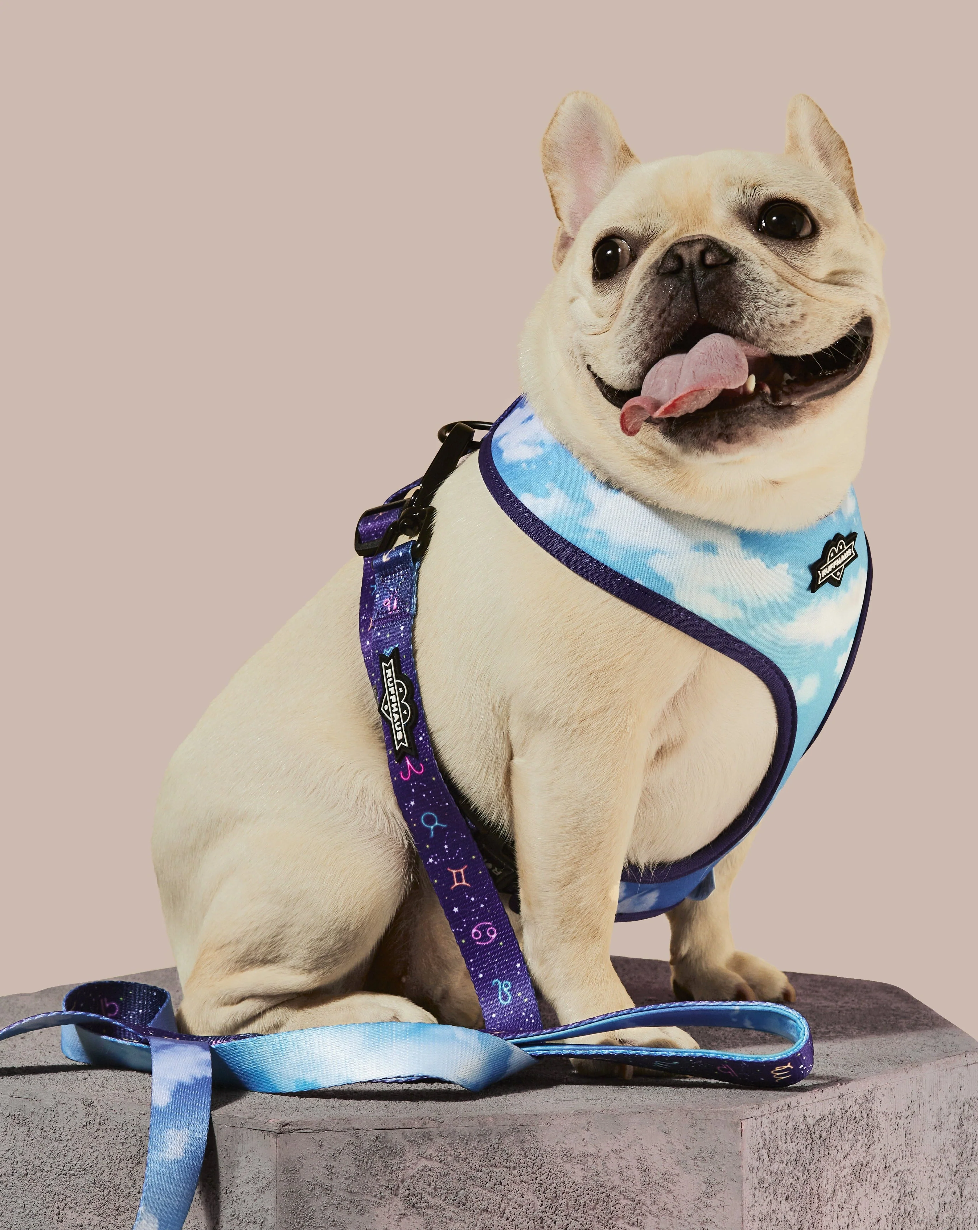 Zodiac Drip Reversible Harness - Image 5