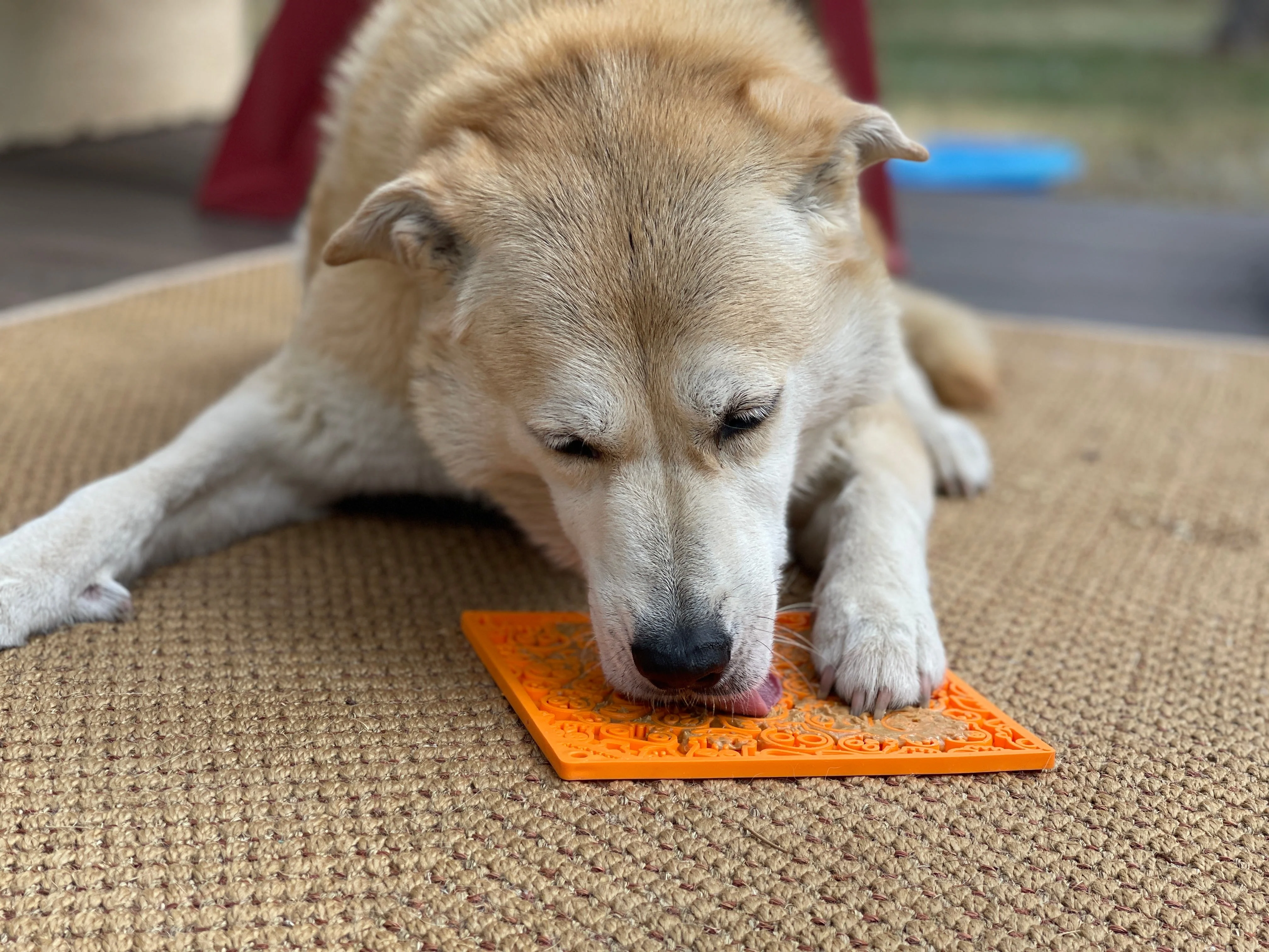 Zombie eMat - Enrichment Lick Mat for Dogs and Cats | Halloween Skull Design | SodaPup - Image 6