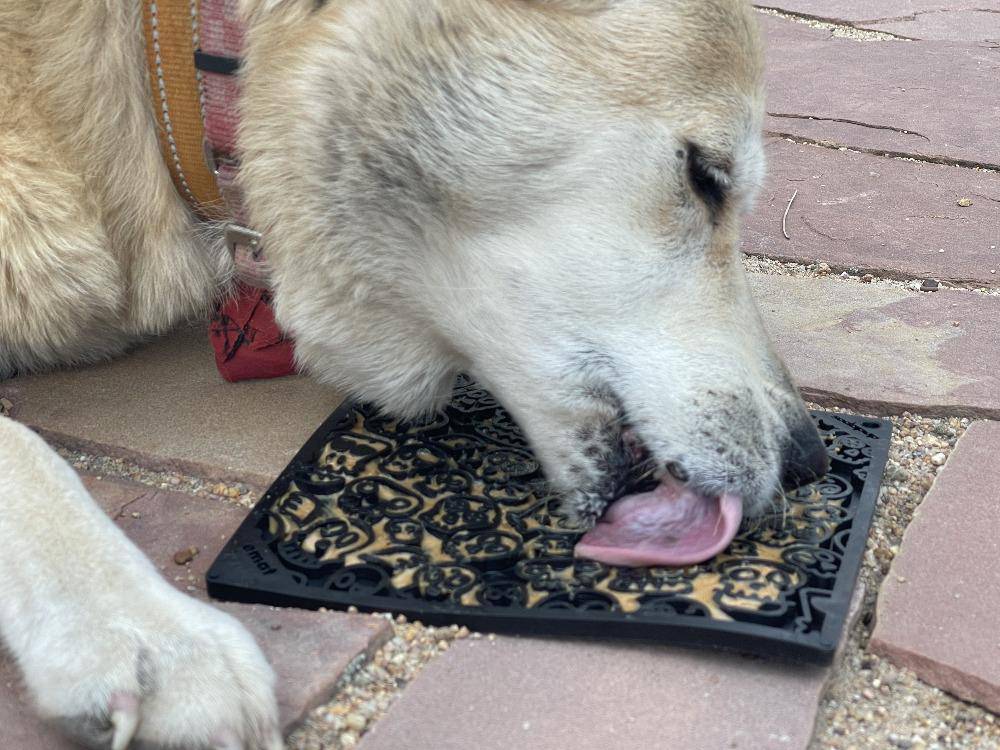 Zombie eMat - Enrichment Lick Mat for Dogs and Cats | Halloween Skull Design | SodaPup - Image 7