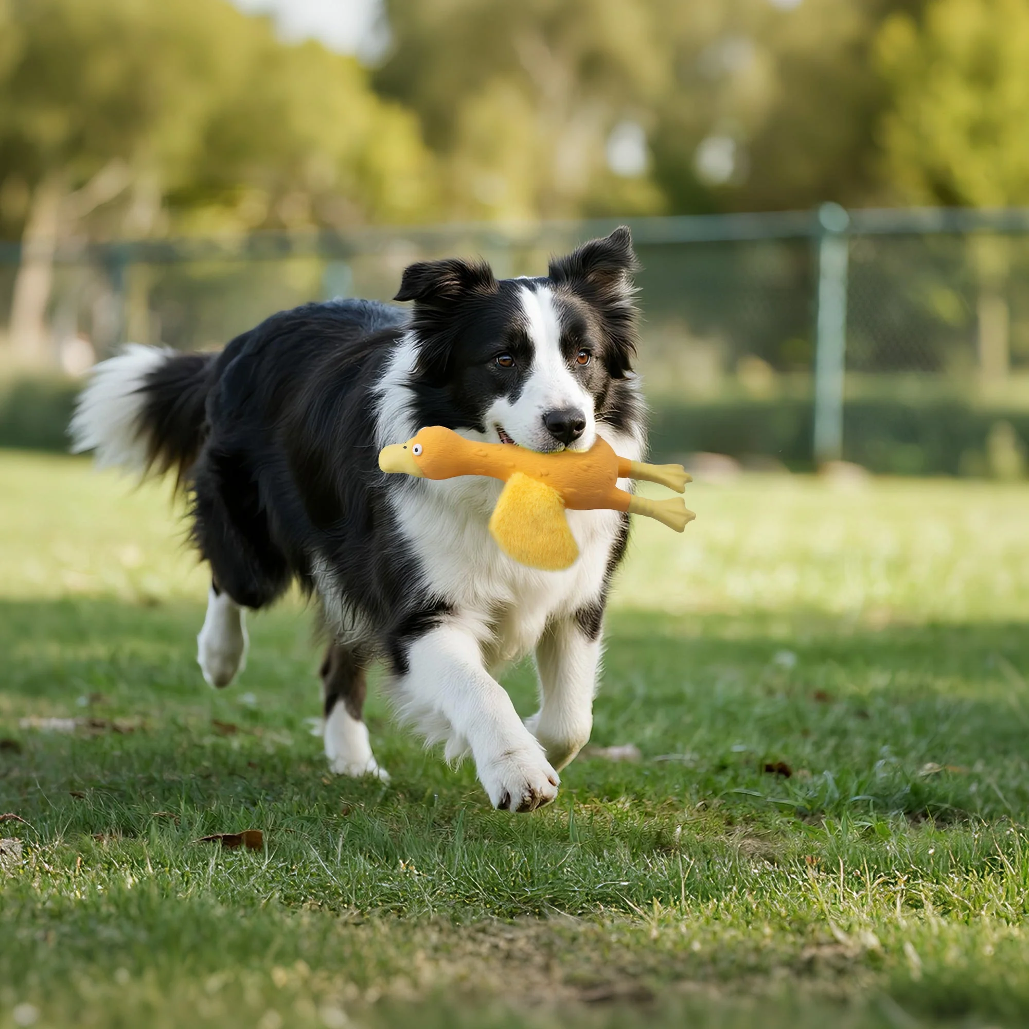 ZooTex - Squeaky Latex Dog Toys - Soft Wing Duck - Image 7
