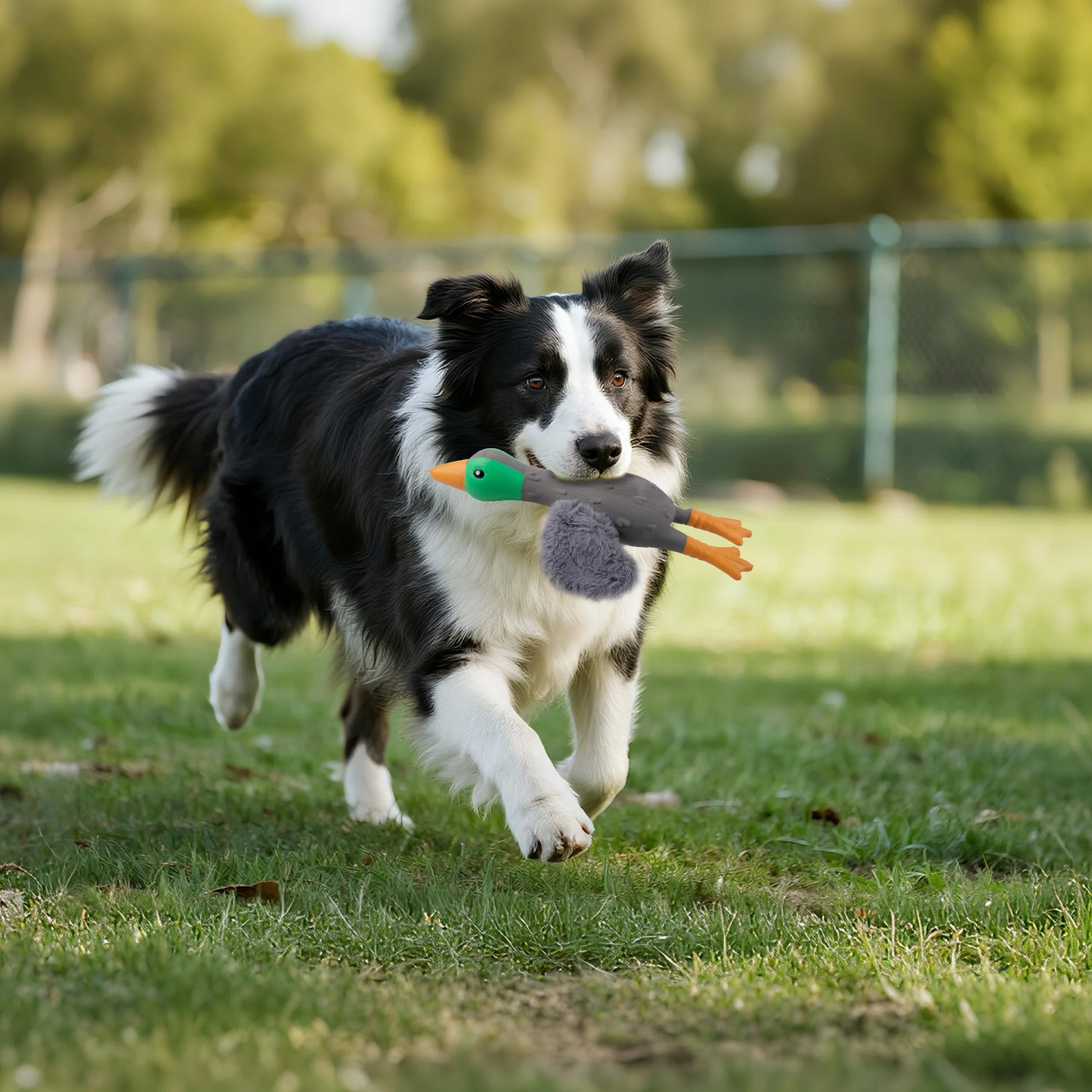 ZooTex Squeaky Latex Dog Toys - Soft Wing Mallard - Image 7