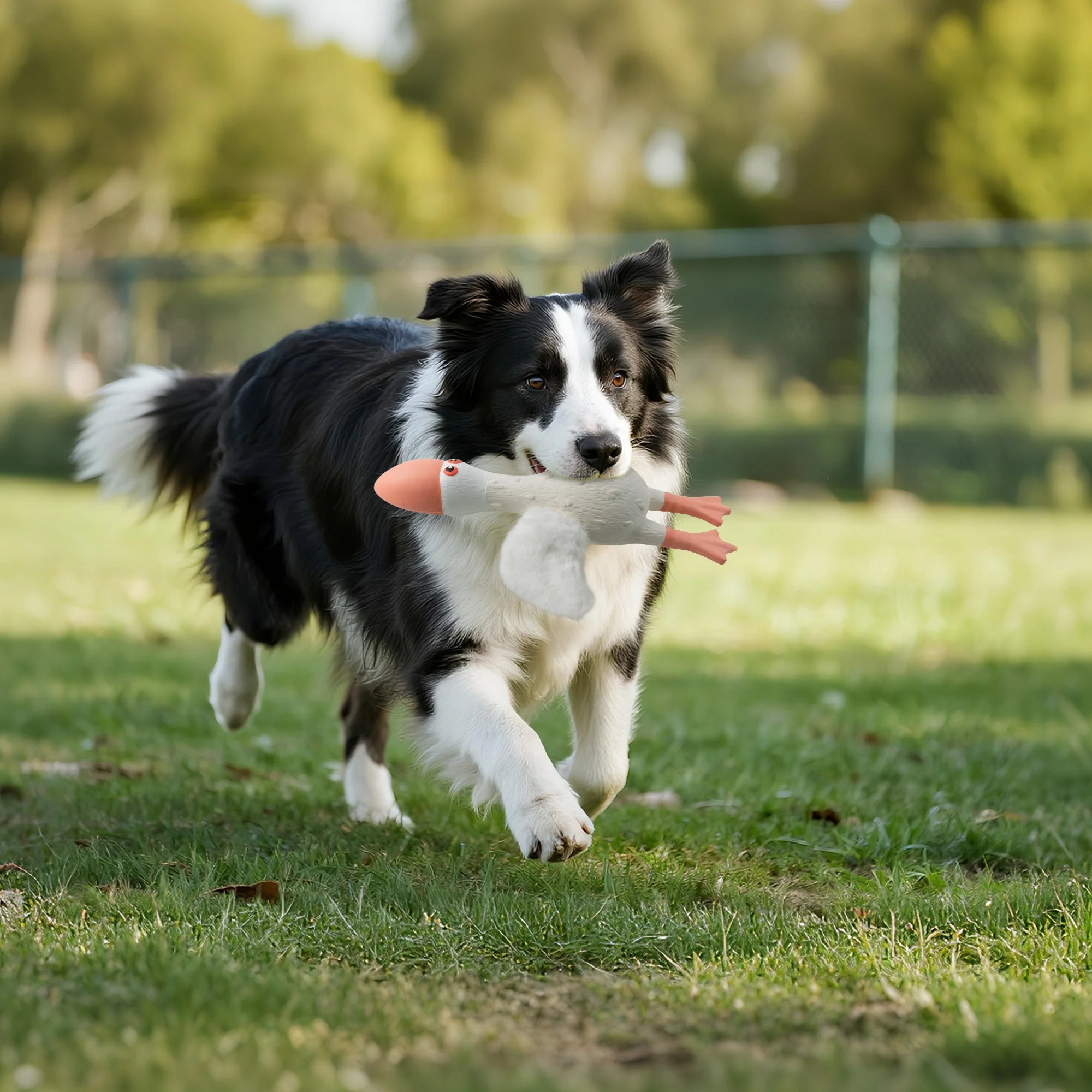 ZooTex - Squeaky Latex Dog Toys - Soft Wing Seagull - Image 7